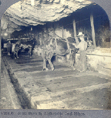 Coal Mners Pictures